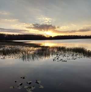 Meet your Posher, Tracy d